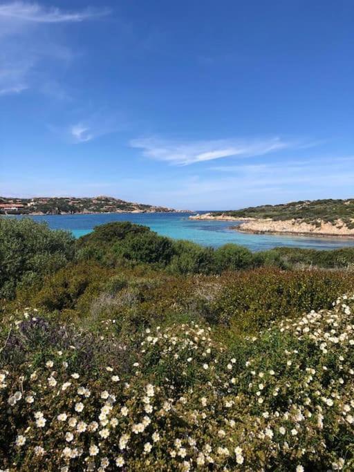 Casa Indipendente Zona Centrale La Maddalena  Bagian luar foto